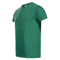 NI003 Vert